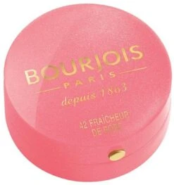 Bourjois Little Round Pot Blush - 10 Brown -GlowBelle Verkoopwinkel 1129x1200 1