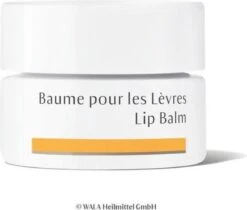 Dr. Hauschka Dr. Hauschka Lip Balm 4,5 Ml 9 Dr. Hauschka Dr. Hauschka Lip Balm 4,5 Ml -GlowBelle Verkoopwinkel 1200x1018