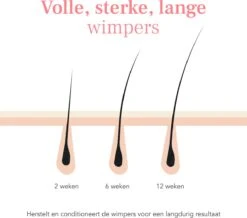 Lashive Wimperserum - Wimper Groeiserum - 3 Ml - Wenkbrauw Serum - Lash Lift Kit - Lashserum -GlowBelle Verkoopwinkel 1200x1060 2