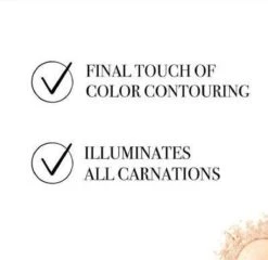 Bourjois Le Petit Strober Highlighter - 00 Universal Glow -GlowBelle Verkoopwinkel 1200x1164 14