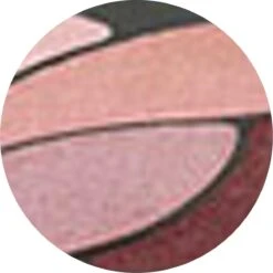 L’Oréal Paris Color Riche Les Ombres Quad - E6 Eau De Rose - Oogschaduw -GlowBelle Verkoopwinkel 1200x1199 10