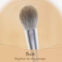 Bamboozy Makeup Kwasten Set Tarwestro - Make Up Brush Foundation Oogschaduw Poeder Kwast Brush Contour Eyeliner - 6 Stuks -GlowBelle Verkoopwinkel 1200x1200 1702