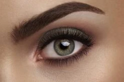 L'Oréal Paris La Petite Palette Oogschaduw - 05 Feminist -GlowBelle Verkoopwinkel 1200x793 1